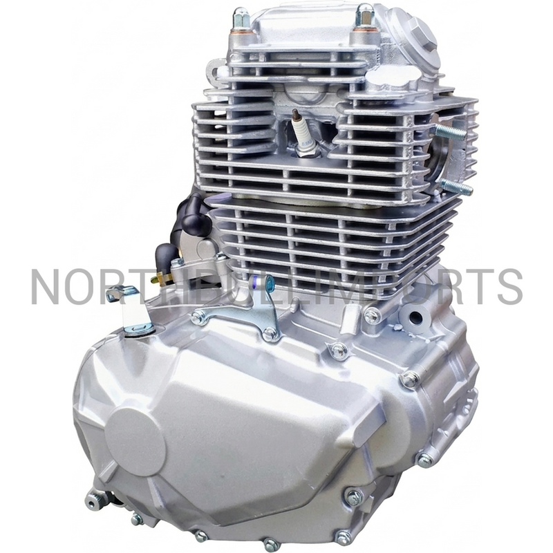 250cc-motor med automatisk koppling (AT2502)