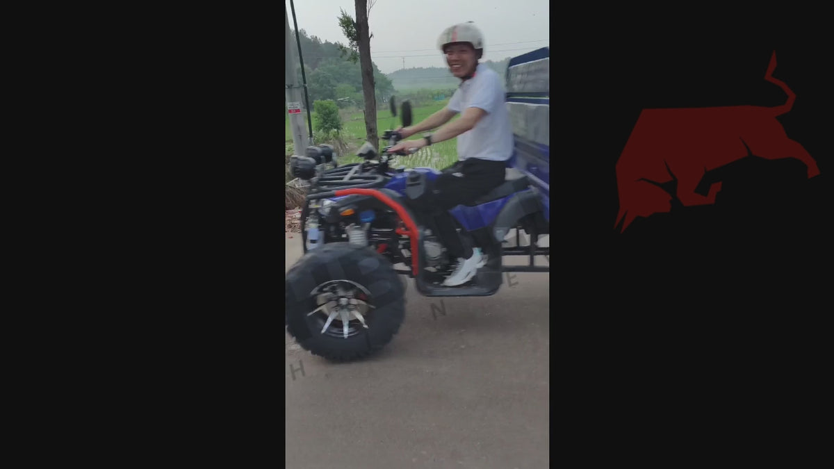 52d5e9757d9447f8a36150fa4aa1e195.mp4